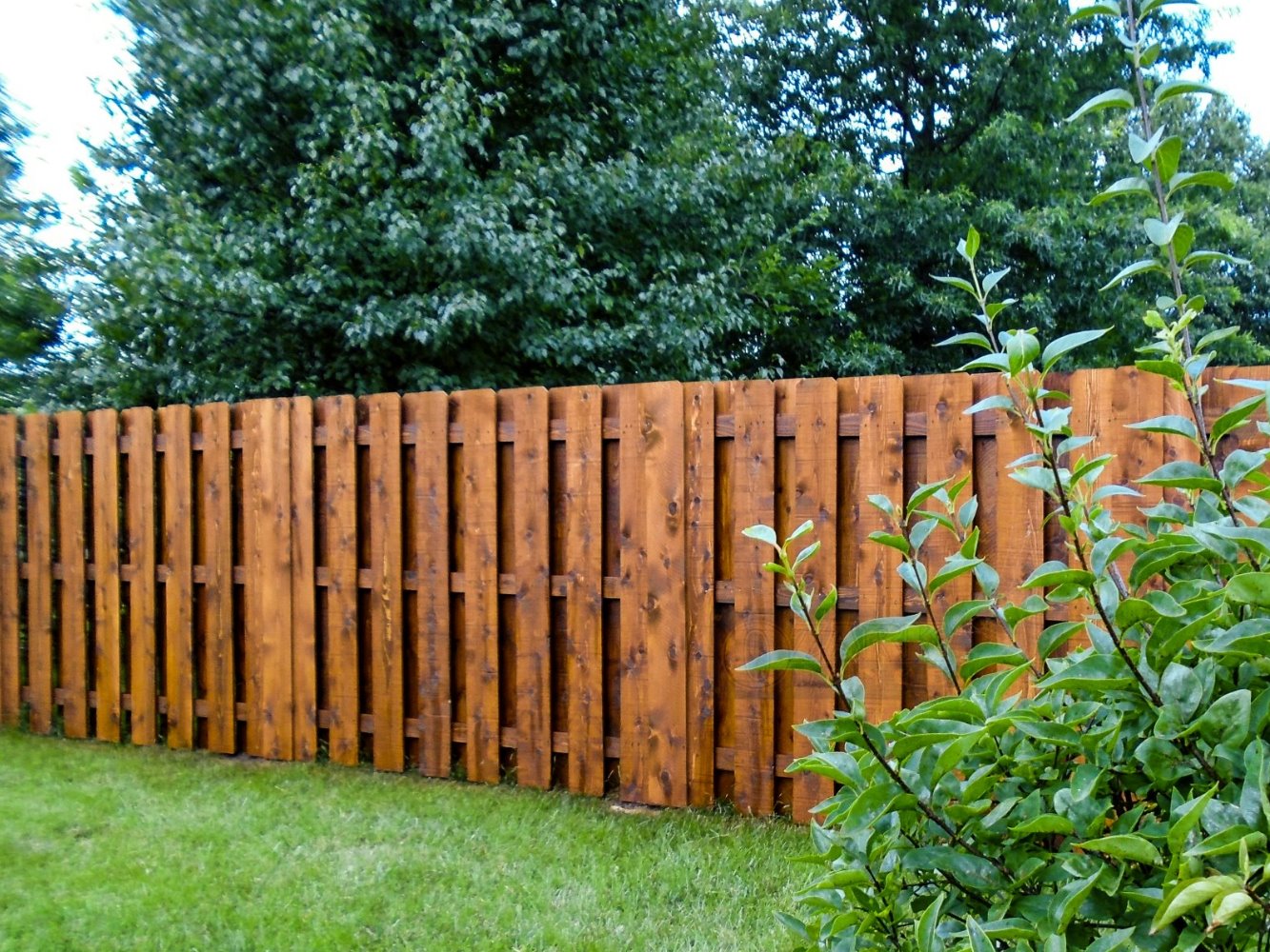 Springfield, MO Wood Fences: Be in “Rhe Know”