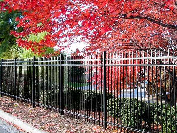 Ornamental Iron Fence - Springfield Missouri