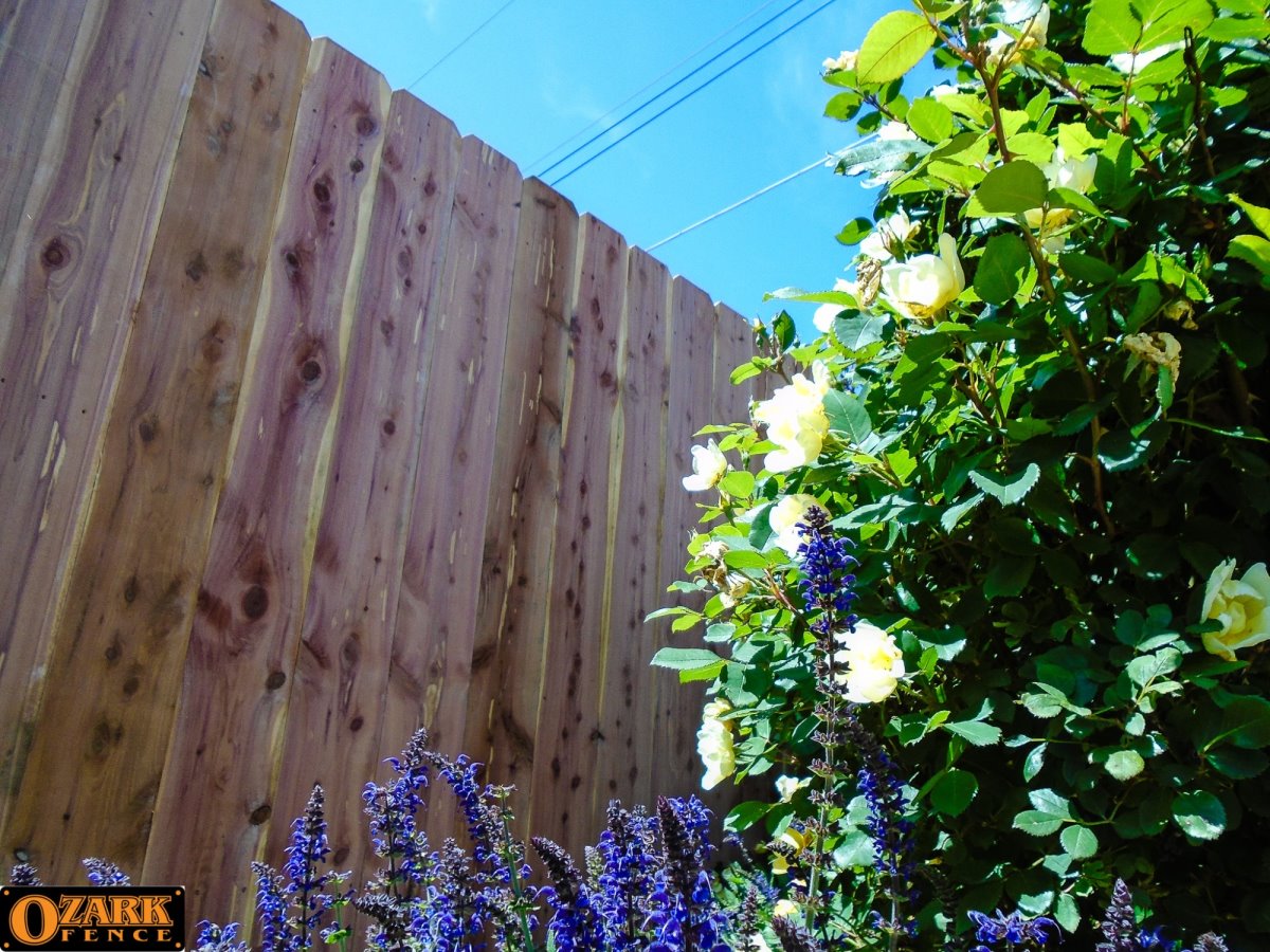 Wood fence solutions for the Springfield, Missouri area