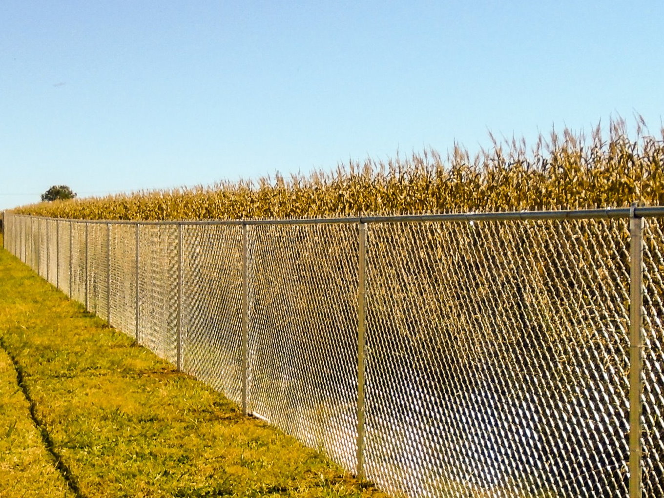 Willard Missouri Fence Project Photo