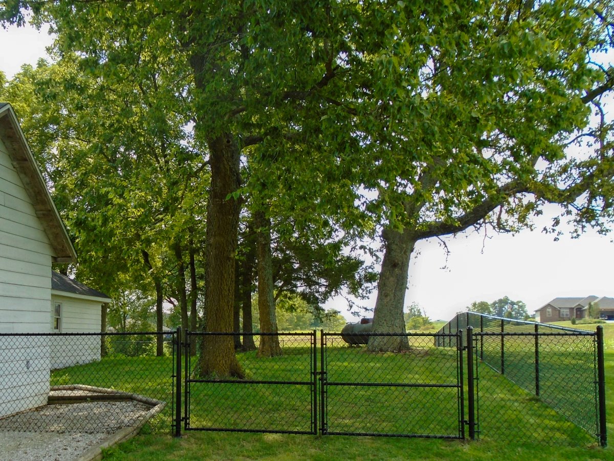 Chain Link Fence Project | Springfield Missouri Fence Company